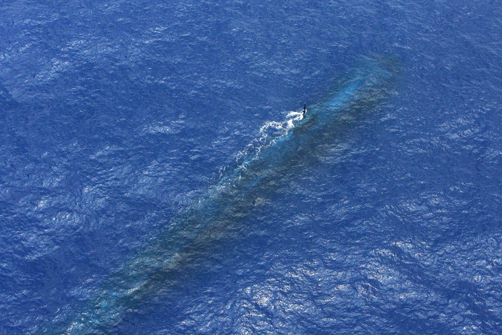 An RAAF AP 3C Orion snaps an allied submarine during an Anti Submarine Warfare evolution during RIMPAC 2010 off Hawaii. submarines suffer from severe command and control limitations, including the requirement to be close to the surface to make radio contact.