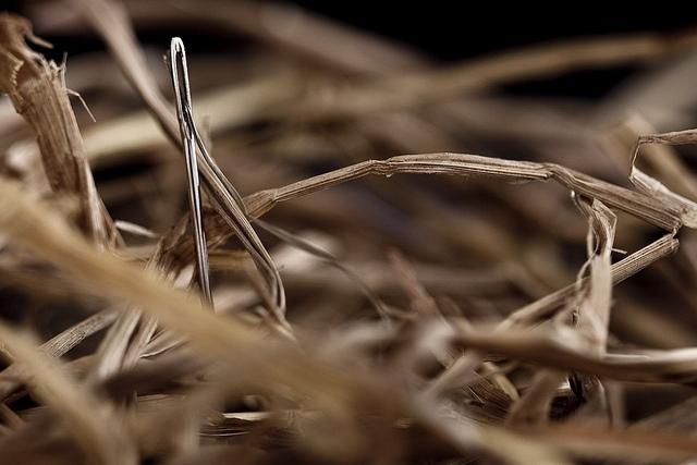 Needle in a haystack